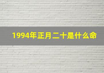 1994年正月二十是什么命