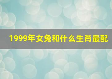 1999年女兔和什么生肖最配