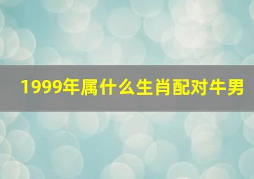 1999年属什么生肖配对牛男