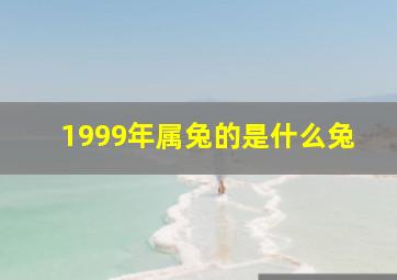 1999年属兔的是什么兔