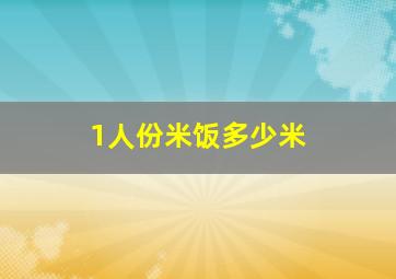 1人份米饭多少米