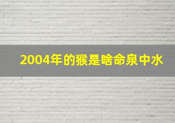 2004年的猴是啥命泉中水