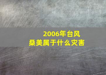 2006年台风桑美属于什么灾害