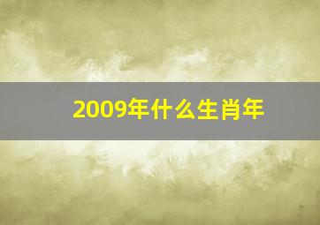 2009年什么生肖年