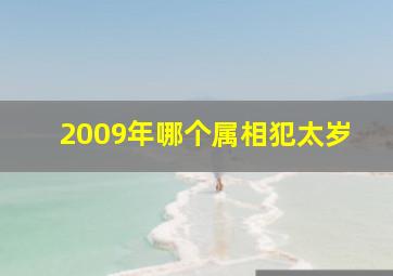 2009年哪个属相犯太岁