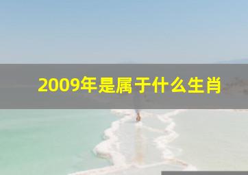 2009年是属于什么生肖