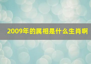 2009年的属相是什么生肖啊