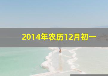 2014年农历12月初一