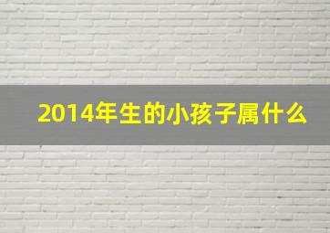 2014年生的小孩子属什么