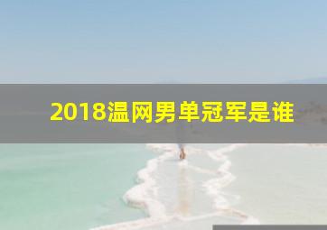 2018温网男单冠军是谁