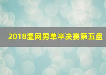 2018温网男单半决赛第五盘