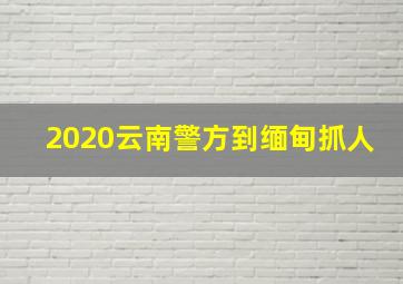 2020云南警方到缅甸抓人