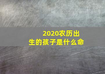 2020农历出生的孩子是什么命