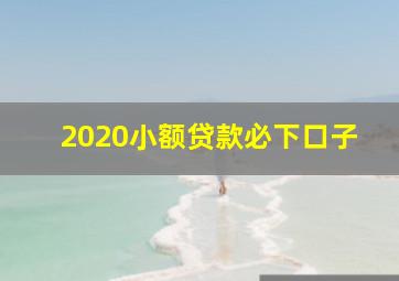 2020小额贷款必下口子