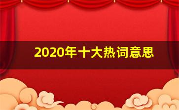 2020年十大热词意思