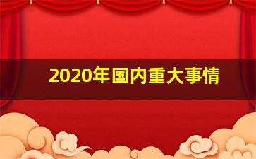 2020年国内重大事情