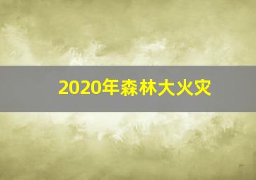 2020年森林大火灾