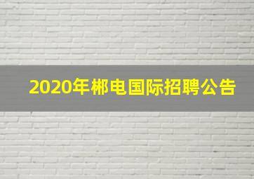 2020年郴电国际招聘公告