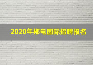 2020年郴电国际招聘报名