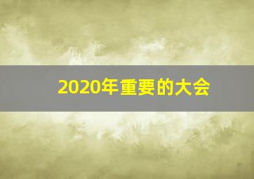 2020年重要的大会