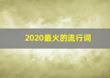 2020最火的流行词