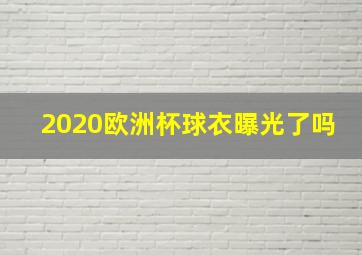 2020欧洲杯球衣曝光了吗