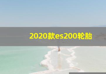 2020款es200轮胎