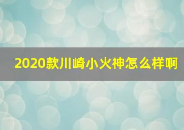 2020款川崎小火神怎么样啊