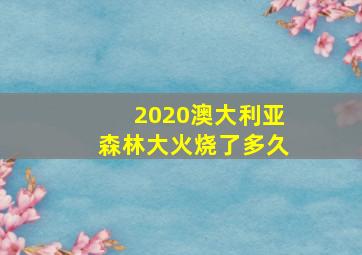 2020澳大利亚森林大火烧了多久