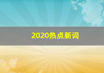 2020热点新词