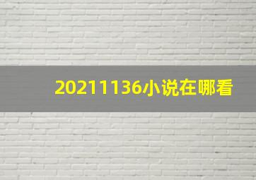 20211136小说在哪看