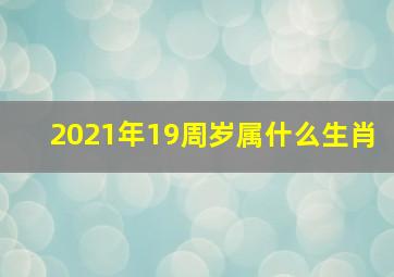 2021年19周岁属什么生肖