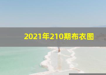 2021年210期布衣图