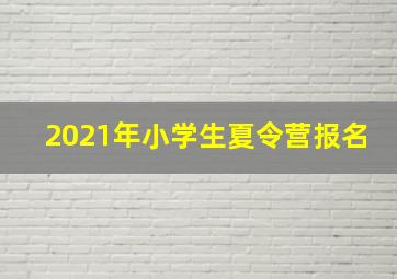 2021年小学生夏令营报名