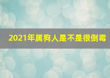 2021年属狗人是不是很倒霉