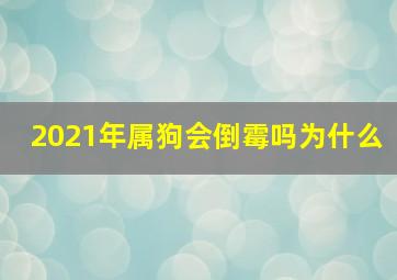 2021年属狗会倒霉吗为什么