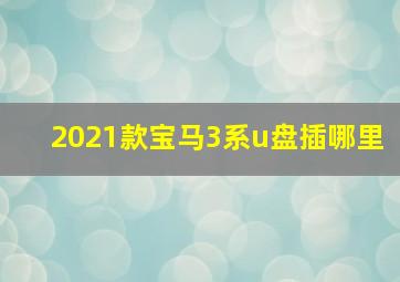 2021款宝马3系u盘插哪里