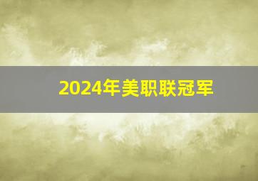 2024年美职联冠军