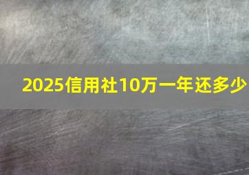 2025信用社10万一年还多少