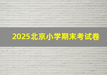 2025北京小学期末考试卷