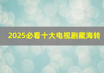 2025必看十大电视剧藏海转