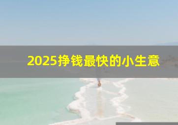 2025挣钱最快的小生意