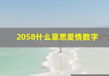 2058什么意思爱情数字