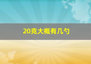 20克大概有几勺