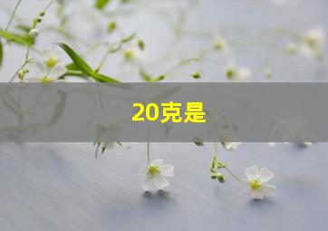 20克是