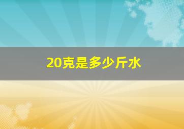 20克是多少斤水