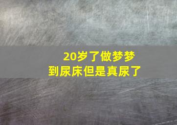 20岁了做梦梦到尿床但是真尿了