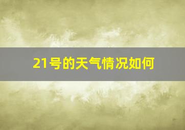 21号的天气情况如何