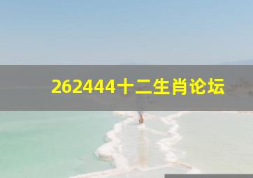 262444十二生肖论坛