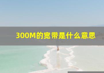 300M的宽带是什么意思